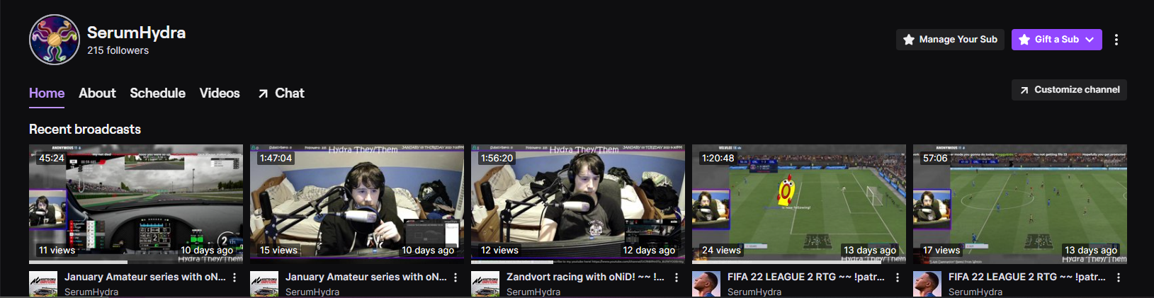 A screenshot of My Twitch Channel at it's Currnet.